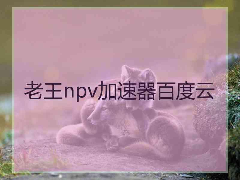 老王npv加速器百度云